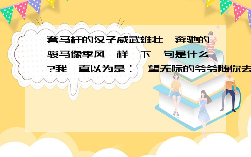 套马杆的汉子威武雄壮,奔驰的骏马像季风一样,下一句是什么?我一直以为是：一望无际的爷爷随你去流浪,当时以为唱这歌的疯了.唱的太像.太像.