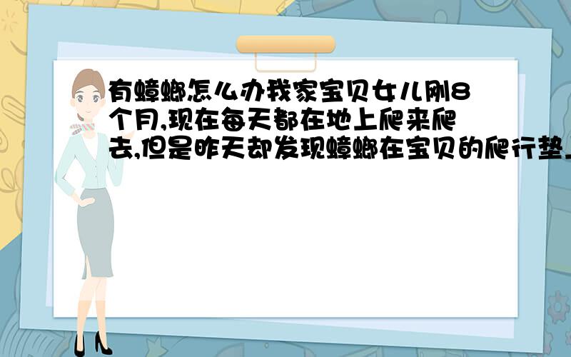 有蟑螂怎么办我家宝贝女儿刚8个月,现在每天都在地上爬来爬去,但是昨天却发现蟑螂在宝贝的爬行垫上爬,当时把我给吓坏了,真担心它会咬到宝宝,但是也不敢用药,宝宝每天在家里爬也担心她