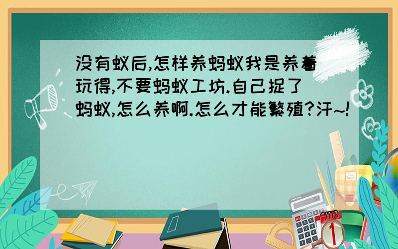 没有蚁后,怎样养蚂蚁我是养着玩得,不要蚂蚁工坊.自己捉了蚂蚁,怎么养啊.怎么才能繁殖?汗~!