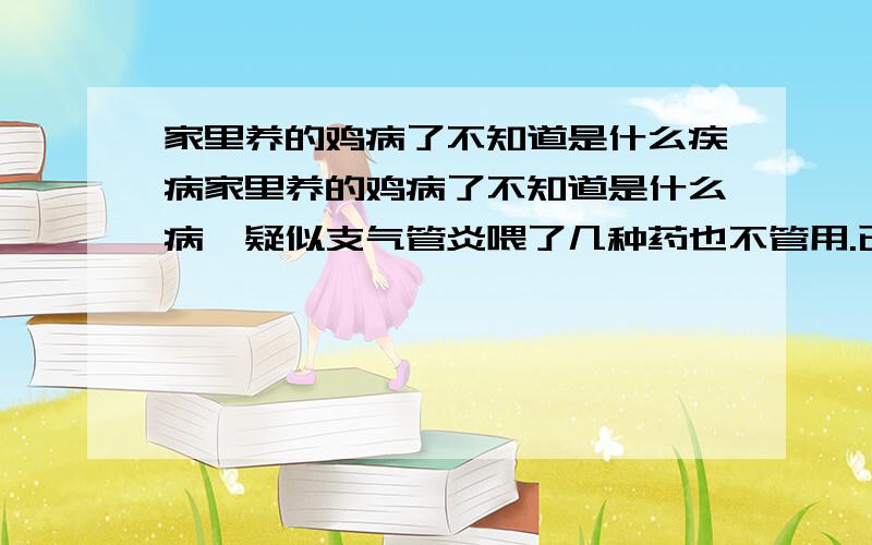 家里养的鸡病了不知道是什么疾病家里养的鸡病了不知道是什么病,疑似支气管炎喂了几种药也不管用.已经死掉一半了.请大家看看是什么病!怎么治?也有的会表现出不同症状的例如常见病鸡