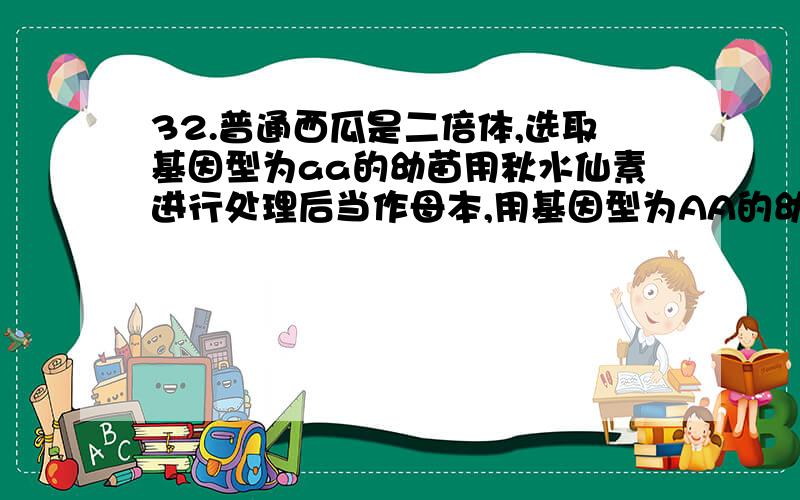 32.普通西瓜是二倍体,选取基因型为aa的幼苗用秋水仙素进行处理后当作母本,用基因型为AA的幼苗当作父本进行A.母本植株上结的西瓜就是三倍体西瓜 B.母本植株上所结种子的种皮基因型是aaaC