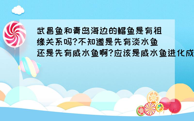 武昌鱼和青岛海边的鲳鱼是有祖缘关系吗?不知道是先有淡水鱼还是先有咸水鱼啊?应该是咸水鱼进化成淡水鱼的吧.这也包括人类吗?总之,现在越来越多的人不相信达尔文的进化论,不相信人类