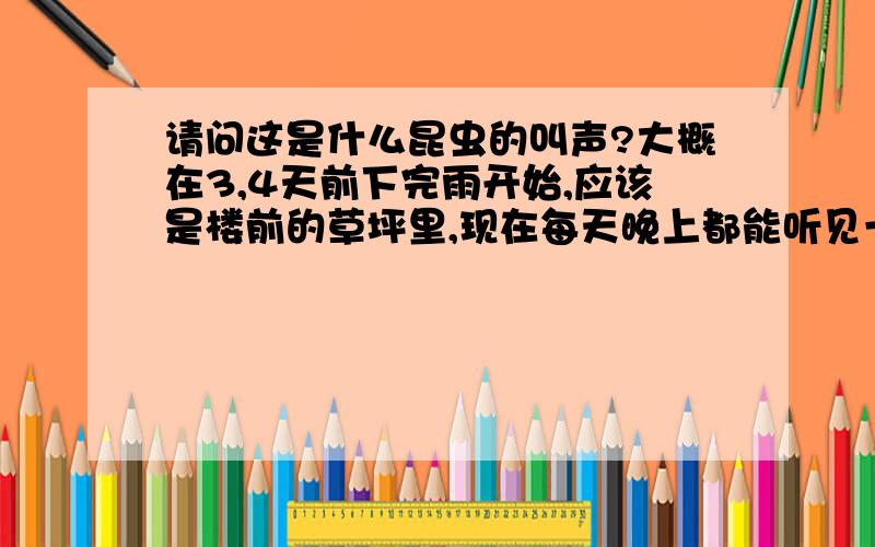 请问这是什么昆虫的叫声?大概在3,4天前下完雨开始,应该是楼前的草坪里,现在每天晚上都能听见一种奇怪的叫声,一种“滋儿滋儿”的叫声,有点像老鼠吱吱声,但是一声一声的很有节奏,又像铁