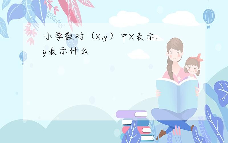 小学数对（X,y）中X表示,y表示什么