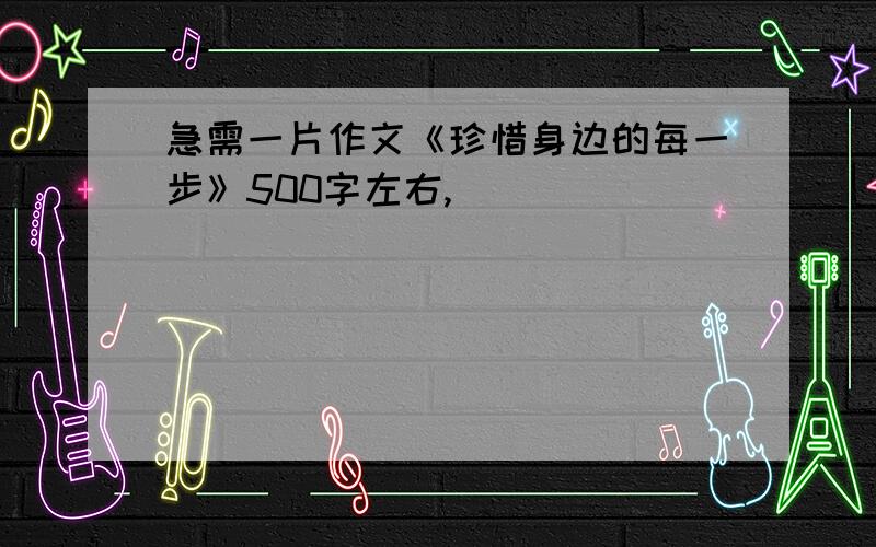 急需一片作文《珍惜身边的每一步》500字左右,