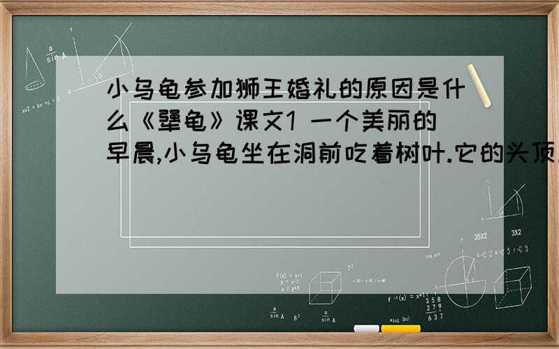 小乌龟参加狮王婚礼的原因是什么《犟龟》课文1 一个美丽的早晨,小乌龟坐在洞前吃着树叶.它的头顶上,一对鸽子正在谈话：狮王二十八世要举行婚礼了,它邀请所有的动物前去参加.因为狮子