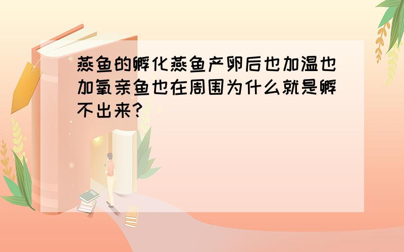 燕鱼的孵化燕鱼产卵后也加温也加氧亲鱼也在周围为什么就是孵不出来?