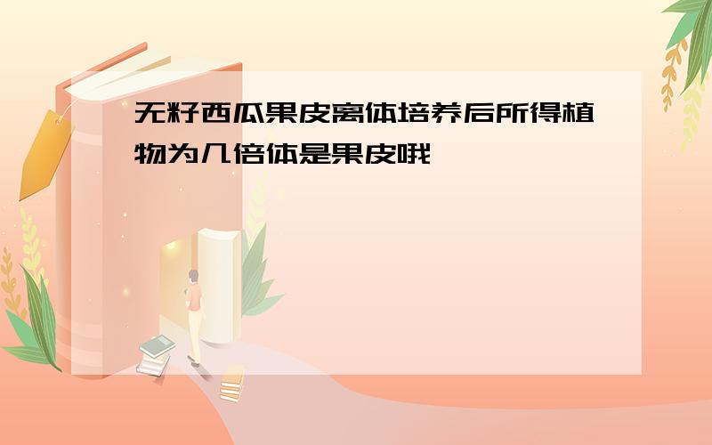 无籽西瓜果皮离体培养后所得植物为几倍体是果皮哦