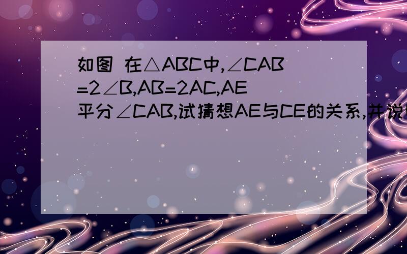 如图 在△ABC中,∠CAB=2∠B,AB=2AC,AE平分∠CAB,试猜想AE与CE的关系,并说明理由.（提示：取AB的中点M,连接EM）