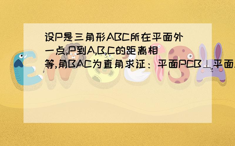 设P是三角形ABC所在平面外一点,P到A,B,C的距离相等,角BAC为直角求证：平面PCB⊥平面ABC