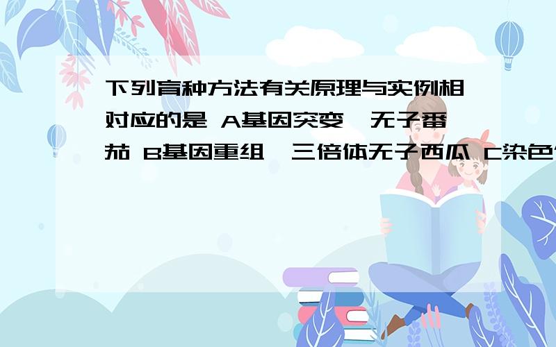 下列育种方法有关原理与实例相对应的是 A基因突变,无子番茄 B基因重组,三倍体无子西瓜 C染色体变异,太空椒 D基因重组,转基因抗虫棉