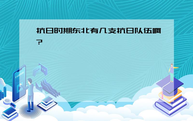 抗日时期东北有几支抗日队伍啊?