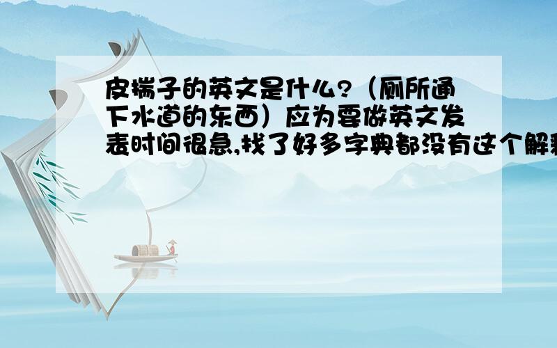 皮揣子的英文是什么?（厕所通下水道的东西）应为要做英文发表时间很急,找了好多字典都没有这个解释!