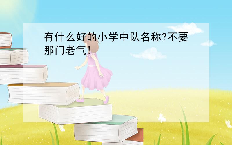 有什么好的小学中队名称?不要那门老气!