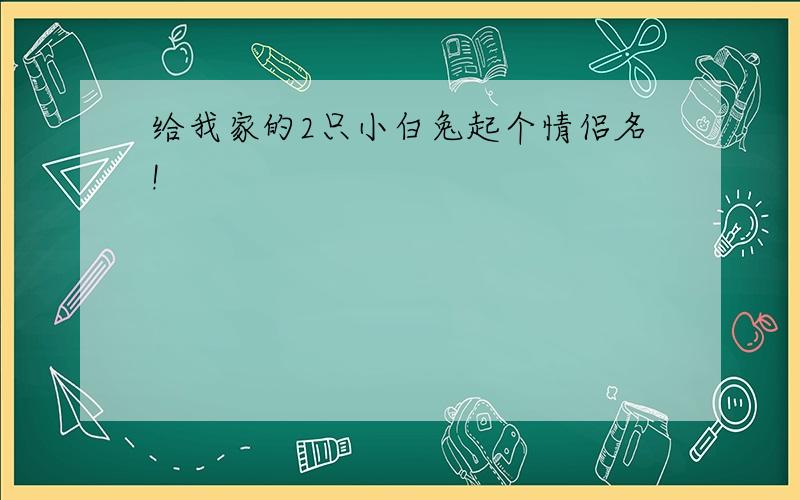 给我家的2只小白兔起个情侣名!