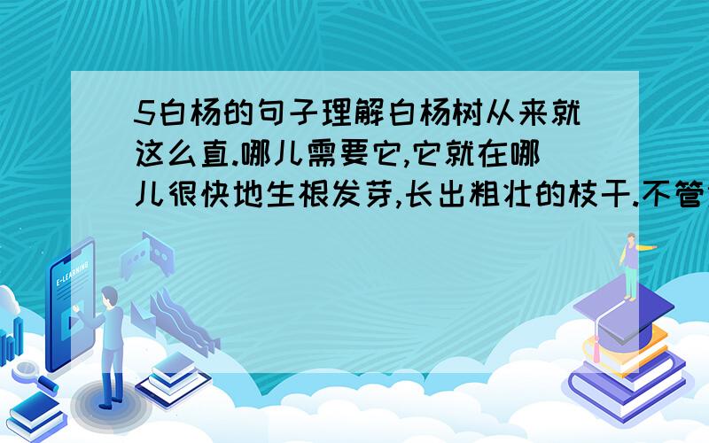 5白杨的句子理解白杨树从来就这么直.哪儿需要它,它就在哪儿很快地生根发芽,长出粗壮的枝干.不管遇到干旱还是洪水,它总是那么直,那么坚强,不软弱,也不动摇______________我们滴课文想不到.