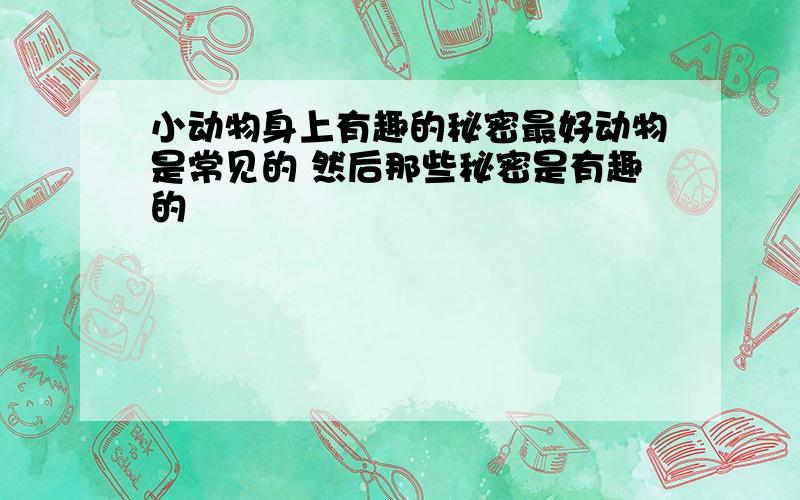 小动物身上有趣的秘密最好动物是常见的 然后那些秘密是有趣的