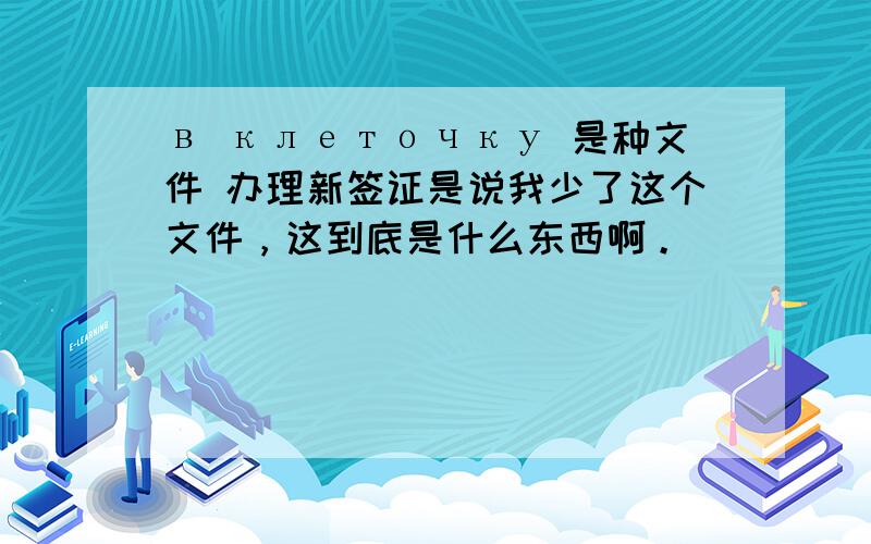 в клеточку 是种文件 办理新签证是说我少了这个文件，这到底是什么东西啊。