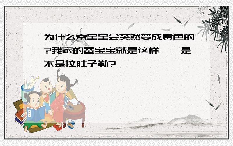 为什么蚕宝宝会突然变成黄色的?我家的蚕宝宝就是这样……是不是拉肚子勒?