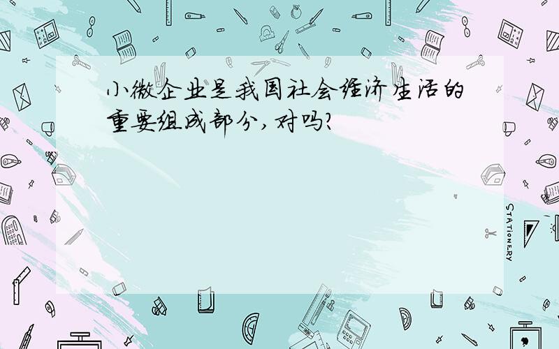 小微企业是我国社会经济生活的重要组成部分,对吗?