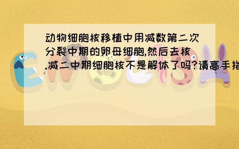 动物细胞核移植中用减数第二次分裂中期的卵母细胞,然后去核.减二中期细胞核不是解体了吗?请高手指教.