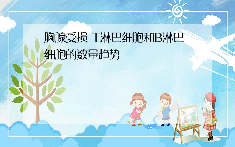 胸腺受损 T淋巴细胞和B淋巴细胞的数量趋势