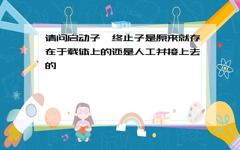 请问启动子、终止子是原来就存在于载体上的还是人工并接上去的