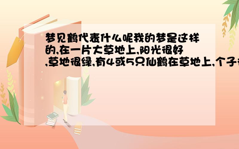 梦见鹤代表什么呢我的梦是这样的,在一片大草地上,阳光很好,草地很绿,有4或5只仙鹤在草地上,个子很高,比人高,有一只仙鹤张大嘴,但我没听见叫声,画面一转,有一个人在仙鹤背上,向远方飞去