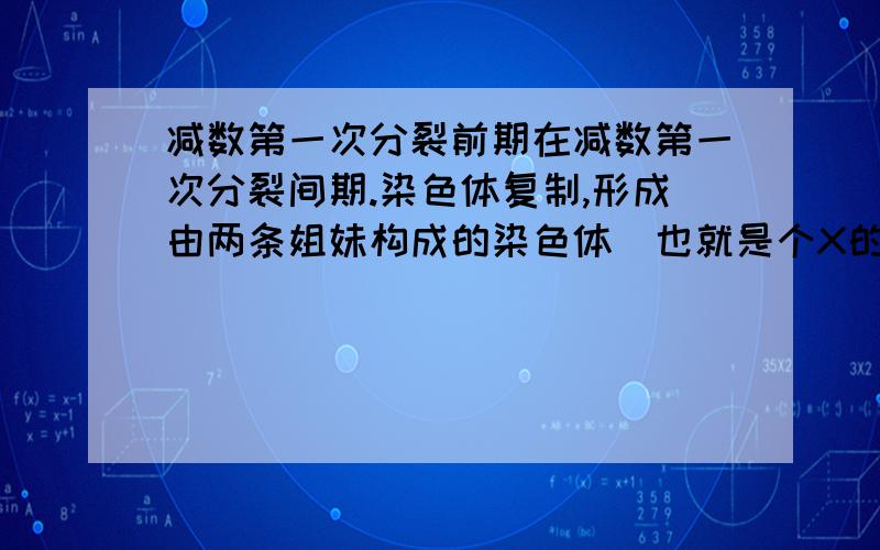 减数第一次分裂前期在减数第一次分裂间期.染色体复制,形成由两条姐妹构成的染色体(也就是个X的形状)之后分裂期开始不久,初级精母细胞中原来分散的染色体开始进行两两配对.形成同源染