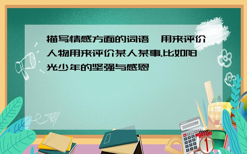 描写情感方面的词语,用来评价人物用来评价某人某事.比如阳光少年的坚强与感恩