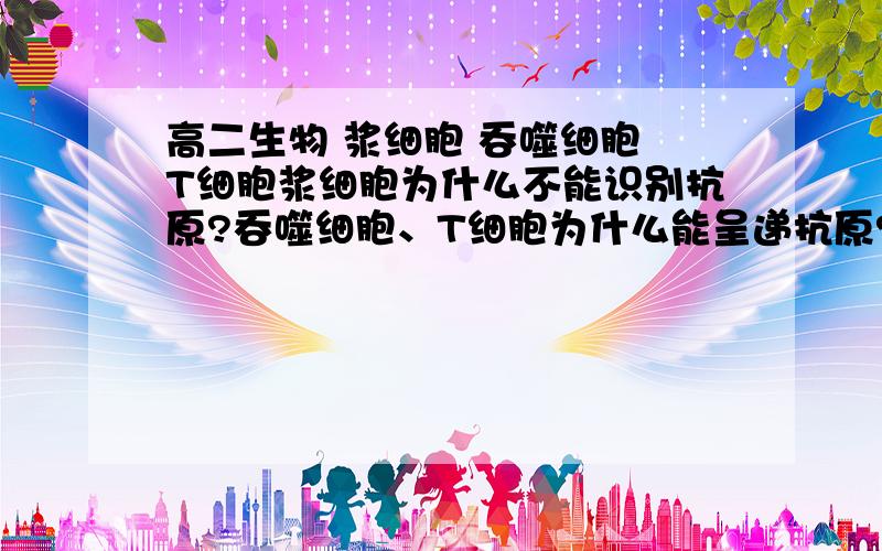 高二生物 浆细胞 吞噬细胞 T细胞浆细胞为什么不能识别抗原?吞噬细胞、T细胞为什么能呈递抗原?