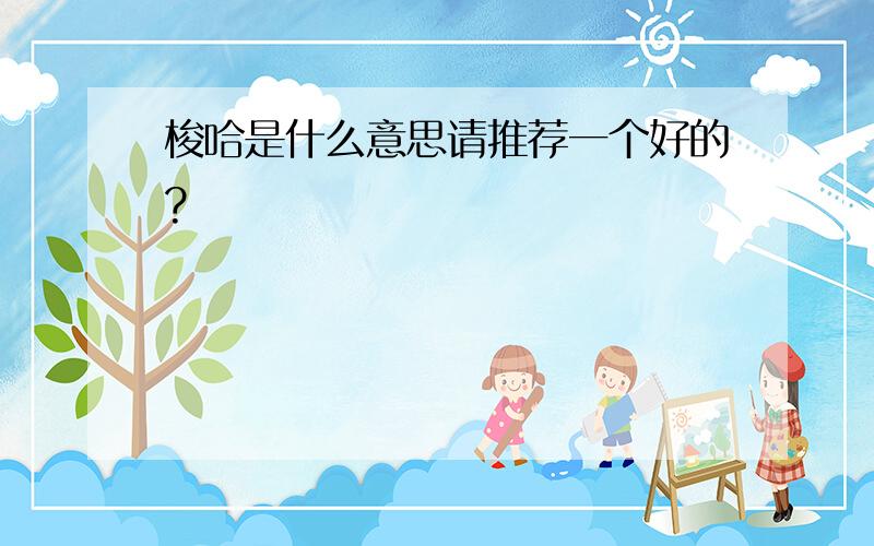 梭哈是什么意思请推荐一个好的?