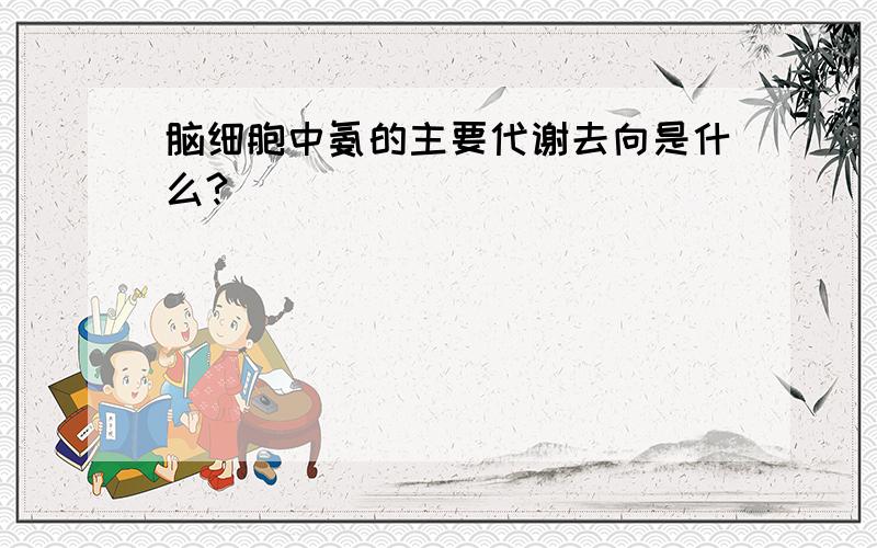 脑细胞中氨的主要代谢去向是什么?