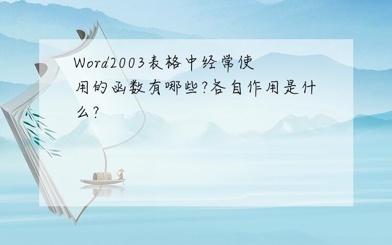 Word2003表格中经常使用的函数有哪些?各自作用是什么?