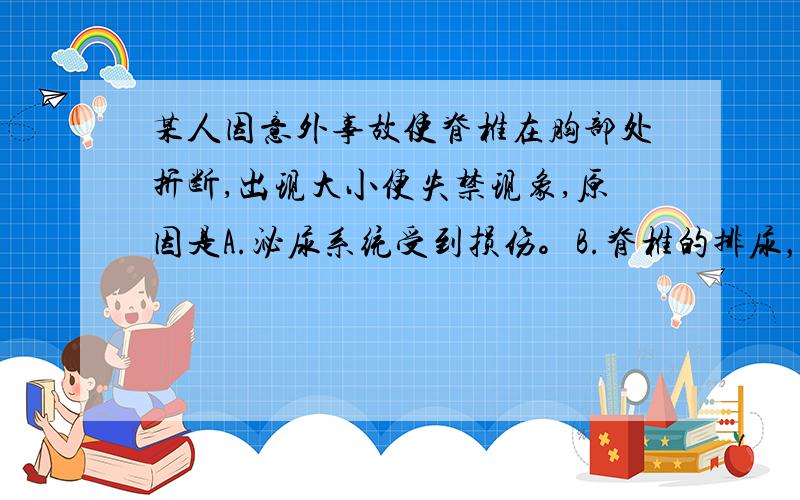 某人因意外事故使脊椎在胸部处折断,出现大小便失禁现象,原因是A.泌尿系统受到损伤。B.脊椎的排尿，排便中枢受到损伤。C.脊椎失去反射功能。D.脊椎的排尿，排便中枢失去了大脑的控制。