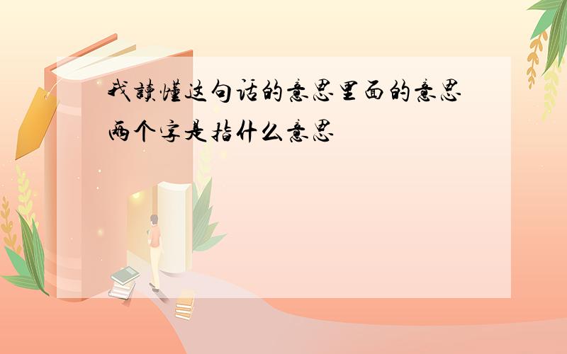 我读懂这句话的意思里面的意思两个字是指什么意思