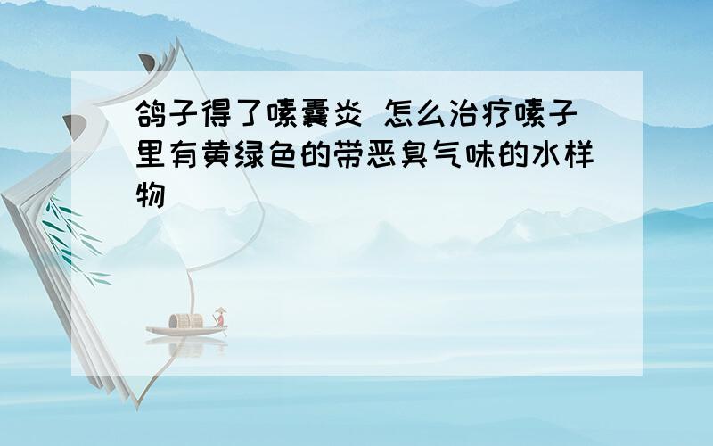 鸽子得了嗉囊炎 怎么治疗嗉子里有黄绿色的带恶臭气味的水样物