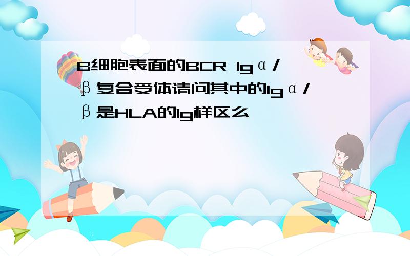 B细胞表面的BCR Igα/β复合受体请问其中的Igα/β是HLA的Ig样区么