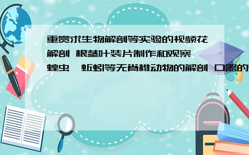 重赏求生物解剖等实验的视频花解剖 根茎叶装片制作和观察 蝗虫、蚯蚓等无脊椎动物的解剖 口器的观察 大概这方面的东西 越多越好