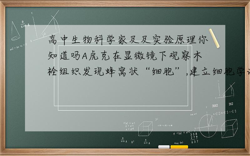 高中生物科学家及及实验原理你知道吗A虎克在显微镜下观察木栓组织发现蜂窝状“细胞”,建立细胞学说B坎农通过研究细胞内基因表达的过程,提出了内环境稳态概念C摩尔根对雄果蝇白眼性