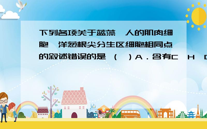 下列各项关于蓝藻、人的肌肉细胞、洋葱根尖分生区细胞相同点的叙述错误的是 （ ）A．含有C、H、O、N、P、S等基本元素B．由糖类、脂质、蛋白质、核酸、水、无机盐等物质组成C．有两种