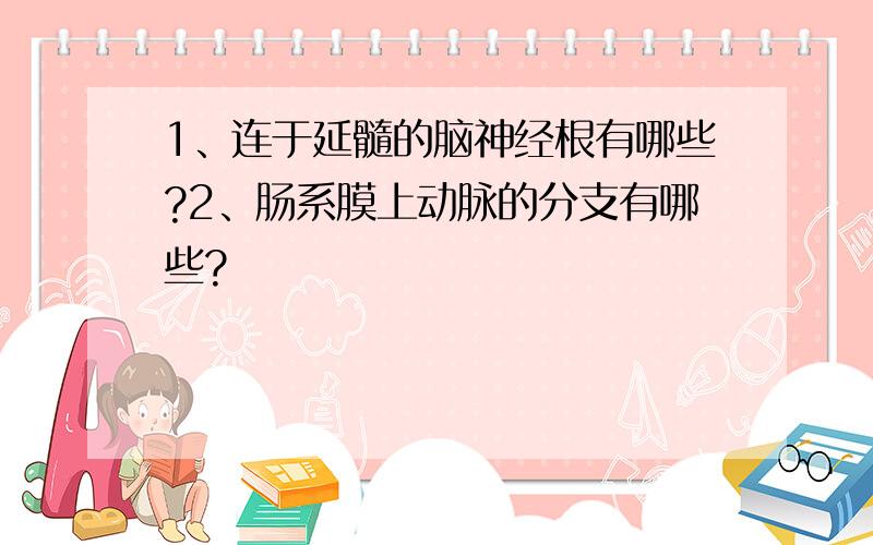 1、连于延髓的脑神经根有哪些?2、肠系膜上动脉的分支有哪些?