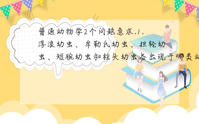 普通动物学2个问题急求.1.浮浪幼虫、牟勒氏幼虫、担轮幼虫、短腕幼虫和柱头幼虫各出现于哪类动物?2.腔肠动物与棘皮动物的辐射对称的体制（体型）在进化上有什么本质上的不同?