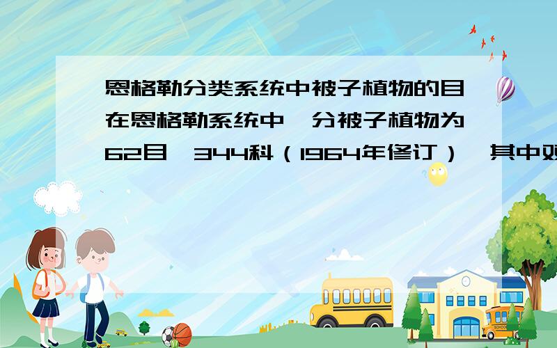 恩格勒分类系统中被子植物的目在恩格勒系统中,分被子植物为62目,344科（1964年修订）,其中双子叶植物48目,290科,单子叶植物14目,54科.请问大侠们,这些目的名称,最好就还有科的名称,以及所属