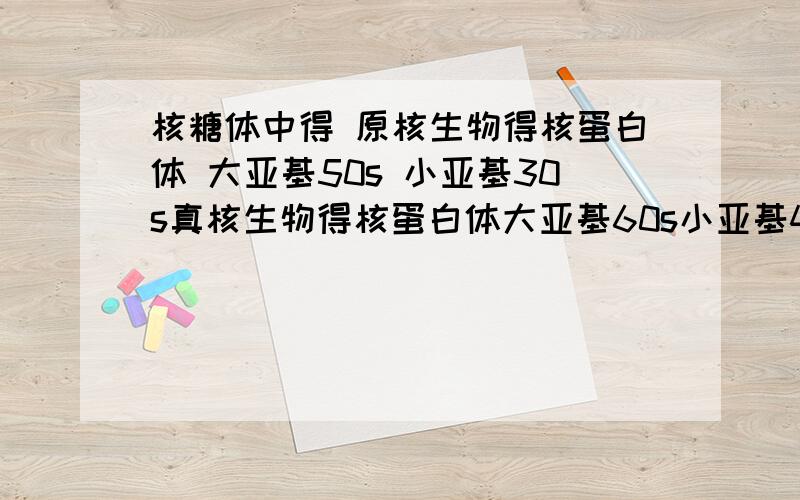 核糖体中得 原核生物得核蛋白体 大亚基50s 小亚基30s真核生物得核蛋白体大亚基60s小亚基40s 这是说明意思?亚基到底指的是什么?