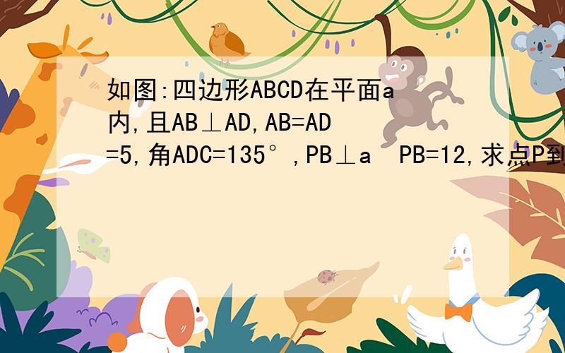 如图:四边形ABCD在平面a内,且AB⊥AD,AB=AD=5,角ADC=135°,PB⊥a  PB=12,求点P到边CD的距离  那么点P到CD的距离指的是点P与哪一点的距离?要用什么方法计算?..