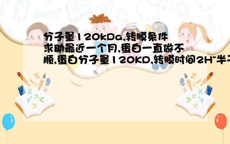 分子量120kDa,转膜条件求助最近一个月,蛋白一直做不顺,蛋白分子量120KD,转膜时间2H~半干转：切NC膜4.5cm*1.5cm,转膜电流7mA,2h~转完染膜染胶,上面什么都没有湿转：NC膜 转膜电流250mA,2h~转完染膜染