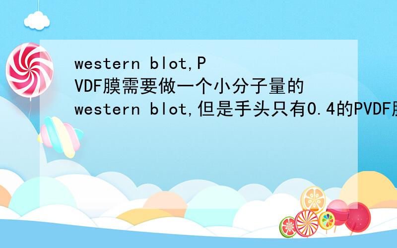 western blot,PVDF膜需要做一个小分子量的western blot,但是手头只有0.4的PVDF膜.需要0.1或者0.2的膜,但是为此买上整整一卷实在是太得不偿失.哪位手头如果有多余的膜,可不可以卖一小部分给我?在下