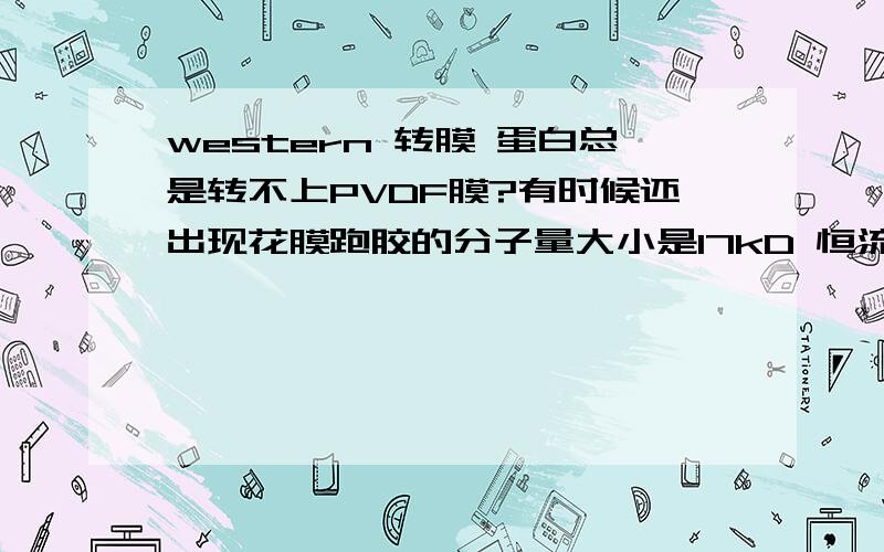 western 转膜 蛋白总是转不上PVDF膜?有时候还出现花膜跑胶的分子量大小是17kD 恒流转膜,90mA 3H,biorad的电转槽,