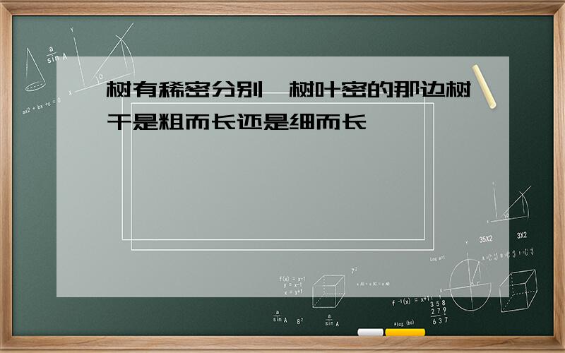 树有稀密分别,树叶密的那边树干是粗而长还是细而长